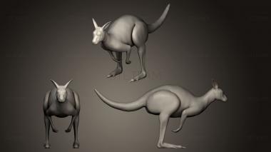 3D model Kangaroo 2 (STL)